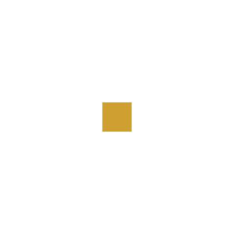 Otto construction silicone ochre C31 matt "OTTOSEAL...