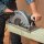 Makita 5903R Handkreissäge 85 mm EN