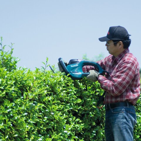 Makita UH6580 Heckenschere 65 cm, 670 W