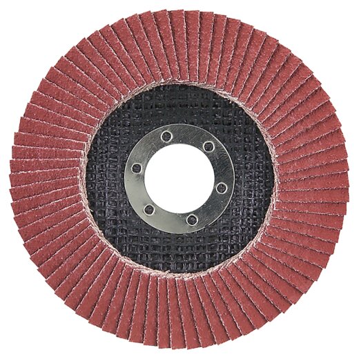 Makita D-28519 Fächerschleifsch. 125mm 80F EN