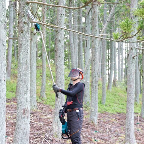 Makita 1910J6-0 Winkelaufsatz EN