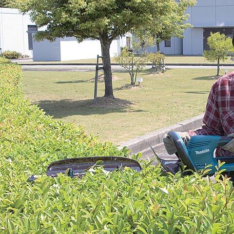 Makita 194681-1 Schnittgutsammler EN