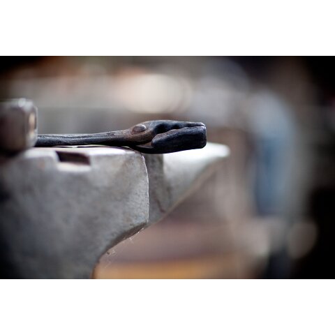 Picard Wolfsmaul-Schmiedezange | Länge=500 mm | 0004900-500