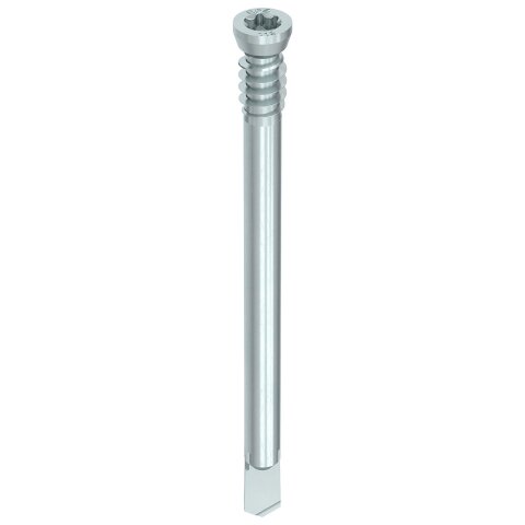 HECO-WS 7 x 113, Zylinderkopf, T-Drive, T-40,...
