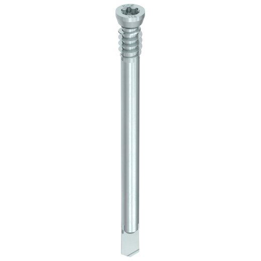 HECO-WS 7 x 153, Zylinderkopf, T-Drive, T-40, Unterkopfgewinde, A2K, 50 Stück