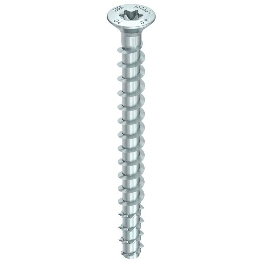 MULTI-MONTI-plus F 6 x 50, Senkkopf, T-30, A2K, 100 Stück