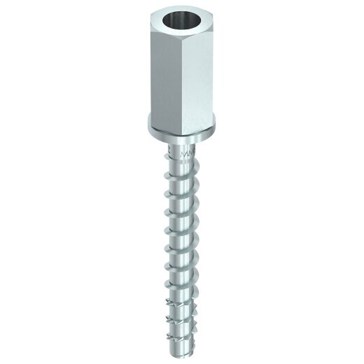 MULTI-MONTI-plus I 7,5 x 60, Innengewindeanker, SW-13, A2K, 50 Stück