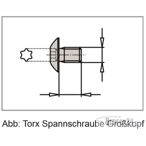 AKE Spannschraube M3,5X6,0 TX15 GK