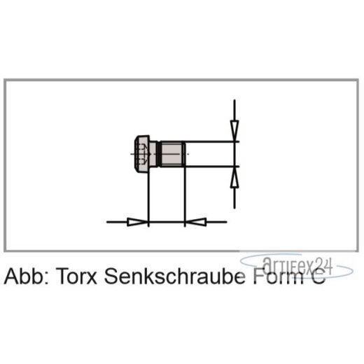 ZUB SCHR M03X4,4 TX08 FORM C