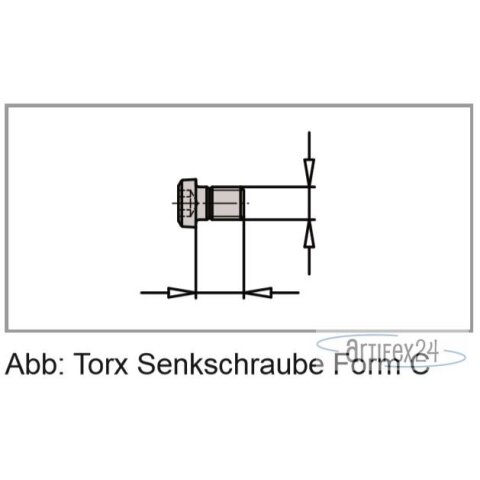 ZUB SCHR M03X4,4 TX08 FORM C