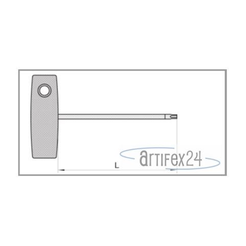 AKE Quer-Griffschl&uuml;ssel TX 20X100