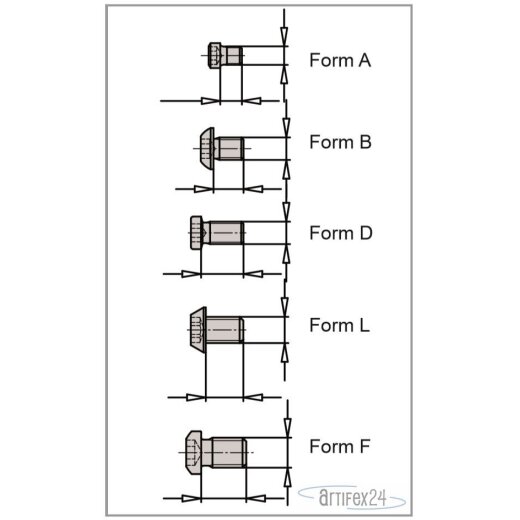 AKE Schauben M2,5X3,0 TX08 FORM A - 10006055
