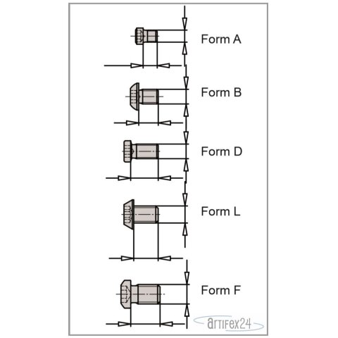 AKE Schauben M04X5,0 TX15 FORM E - 10006063