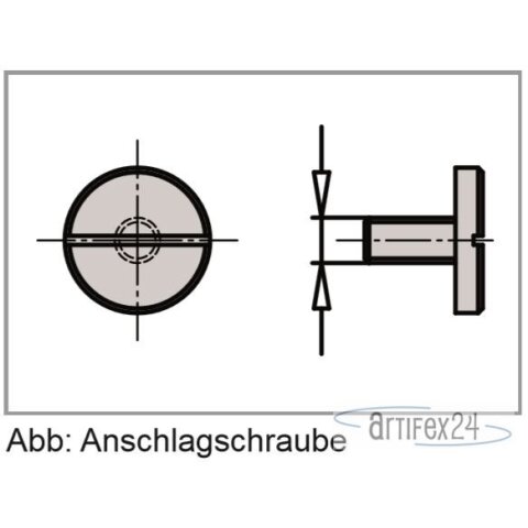AKE Schauben ANSCHL M05X10 - 40002938