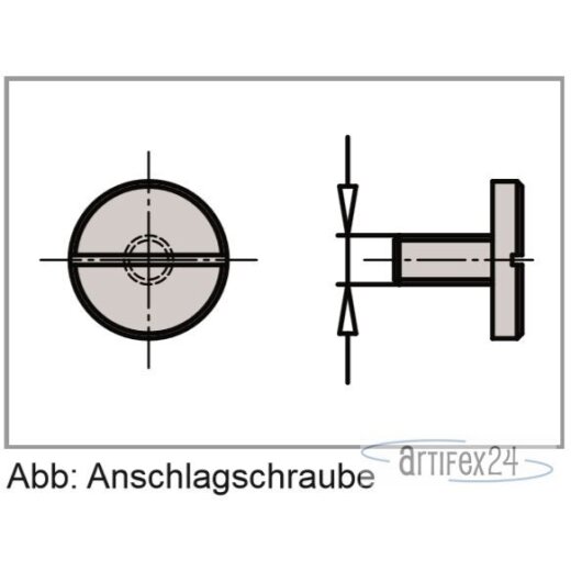 AKE Anschlagschraube M6 x 10 - 10157166