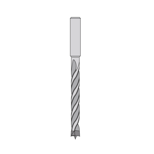 AKE HW Dübelbohrer 16X80/110 S10X25 Z2 HW Rechts mit Rückenführung