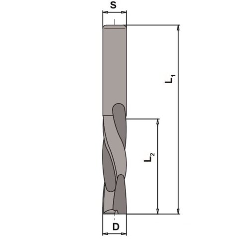 AKE VHW Schlichtfräser mit Wechseldrall 12X42/100 S12 Z2 VHW Rechts