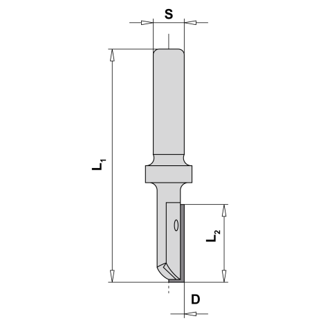 AKE Wendeplatten Nutfräser HW Z1 16x50/100mm S12 Rechts