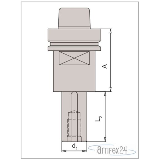 AKE Fräsdorn HSK63F 30X80 A75