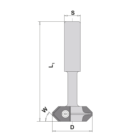 Fasefräser HW-WP Z2 D40 45°