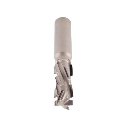 Aigner DP-Nutschaftfräser "ECO" - RL, C436-E2028R-M1
