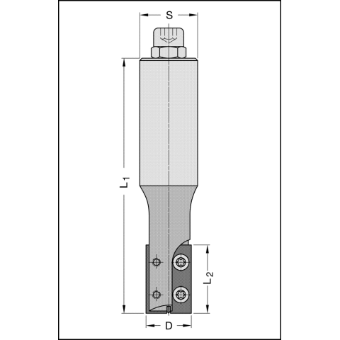 JSO WP-Schaftfräser Z2 20x30mm | S=20x55mm