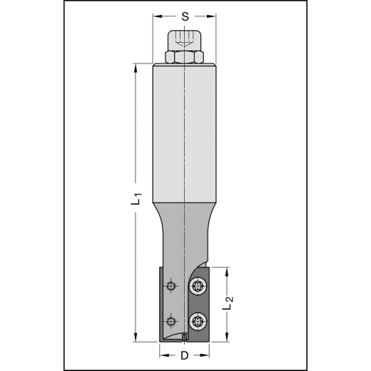 JSO WP-Schaftfräser Z2 20x30mm, S=25x55mm - 22006-5-20306-R