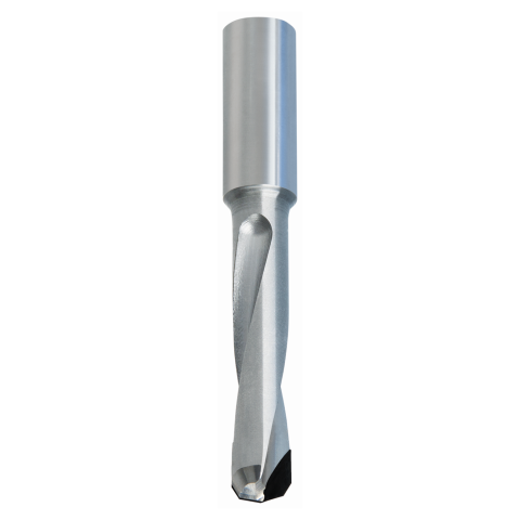 JSO 10mm Diamant (PKD) Dübelbohrer 10x70mm Z2 S10...