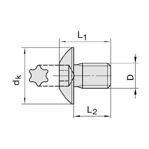 JSO M4x9 Großkopf-Schraube T15