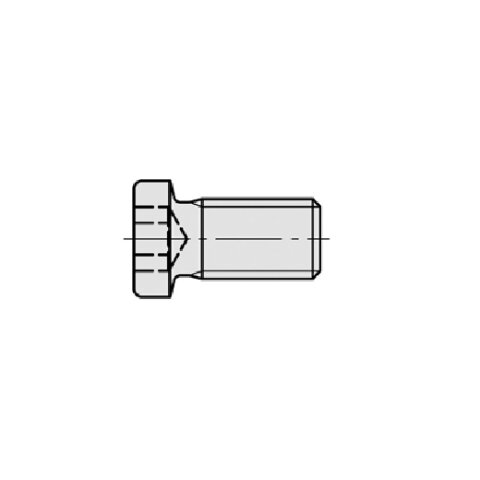 JSO M3x5,4 Torx-Rundkopfschraube T8