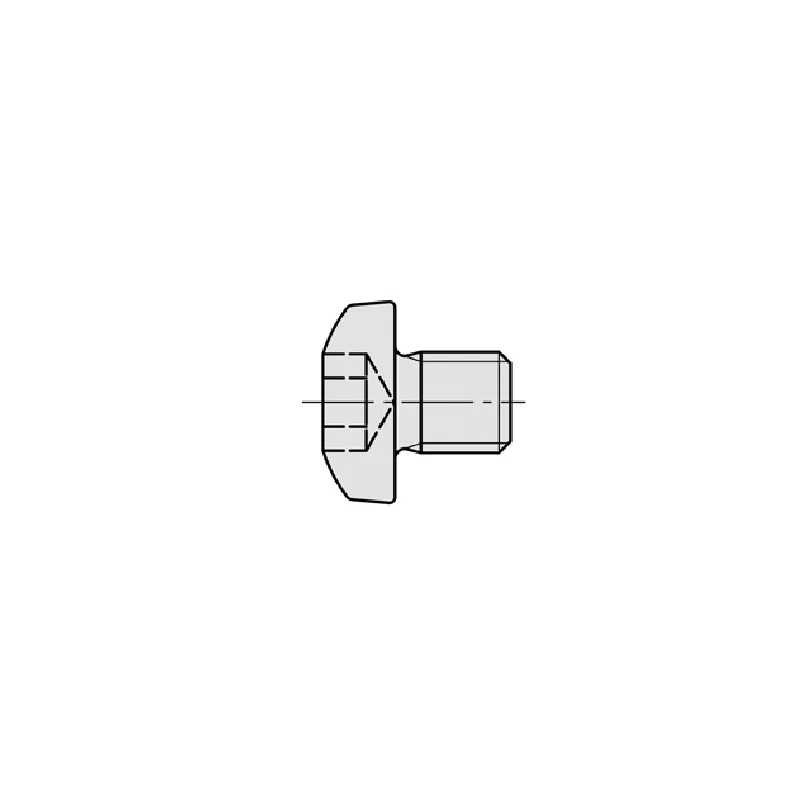 JSO M4x5 Torx-Rundkopfschraube T15