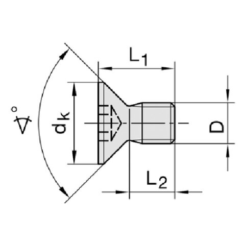 JSO M5x6 90&deg; Torx-Senkkopfschraube T20