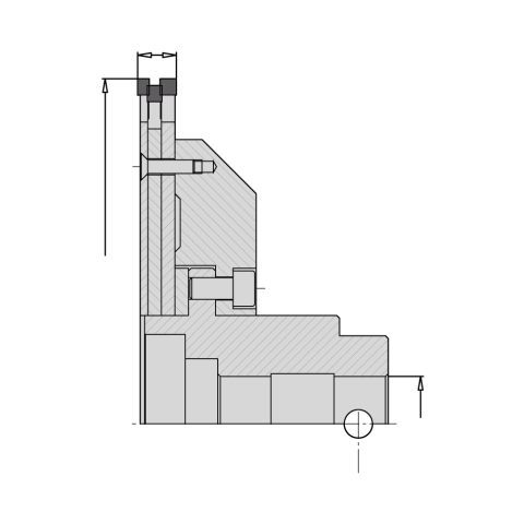 AKE Zerspaner HW-ZSP VAR 255x14,4 Z=60/12/6 LI - 0033.255.83