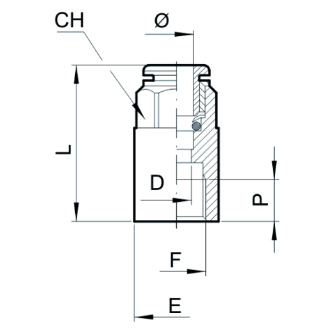 Schneider Steckverbindung SVG-R2-8 x G1/4i