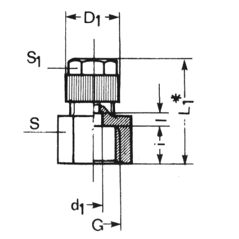 Schneider Auf.verschr GAVS-NI 6-4xG1/4i
