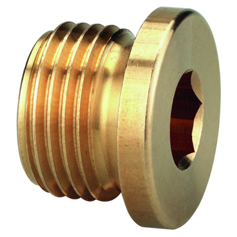 Schneider Verschlußschr. VSS-MS-I-B-G1/2a