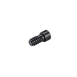<p>Cabineo 8 screws<br />Color: black<br />Quantity: 500 pcs<br />Length: 8mm<br />Screw drive: SW4<br />suitable for: Cabineo X<br /></p>