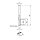 Aigner Diamant (PKD) Nutschaftfräser Z2 "C437" 10x25/75mm Z2 S10 links