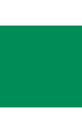 signalgr&uuml;n (HKS 54 K)