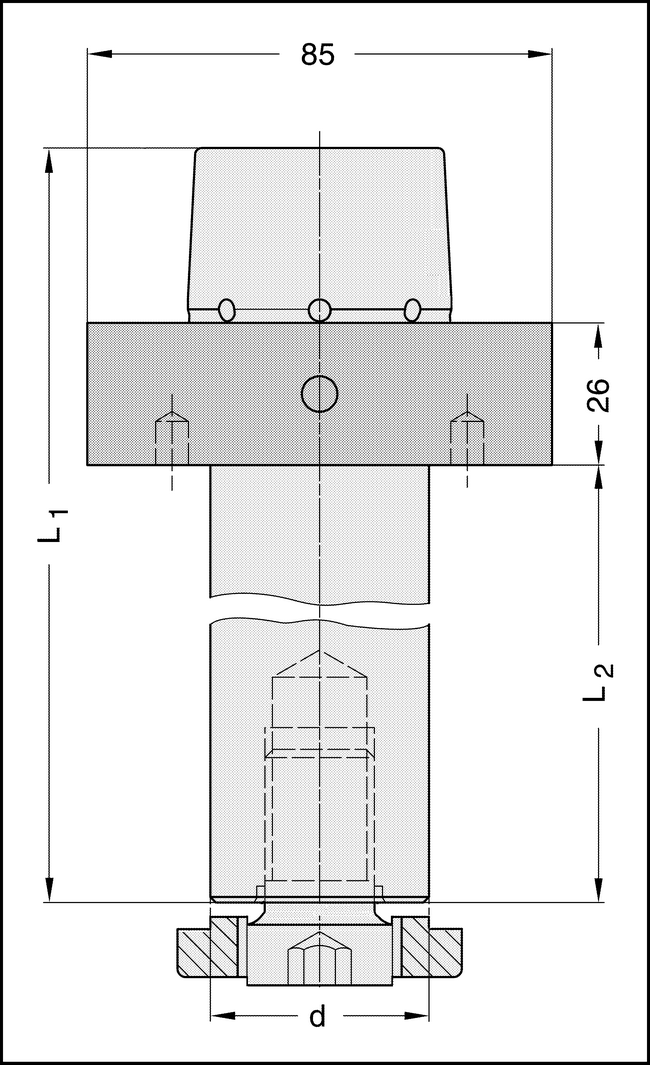 Fräsdorn HSK 85W d=40x80mm