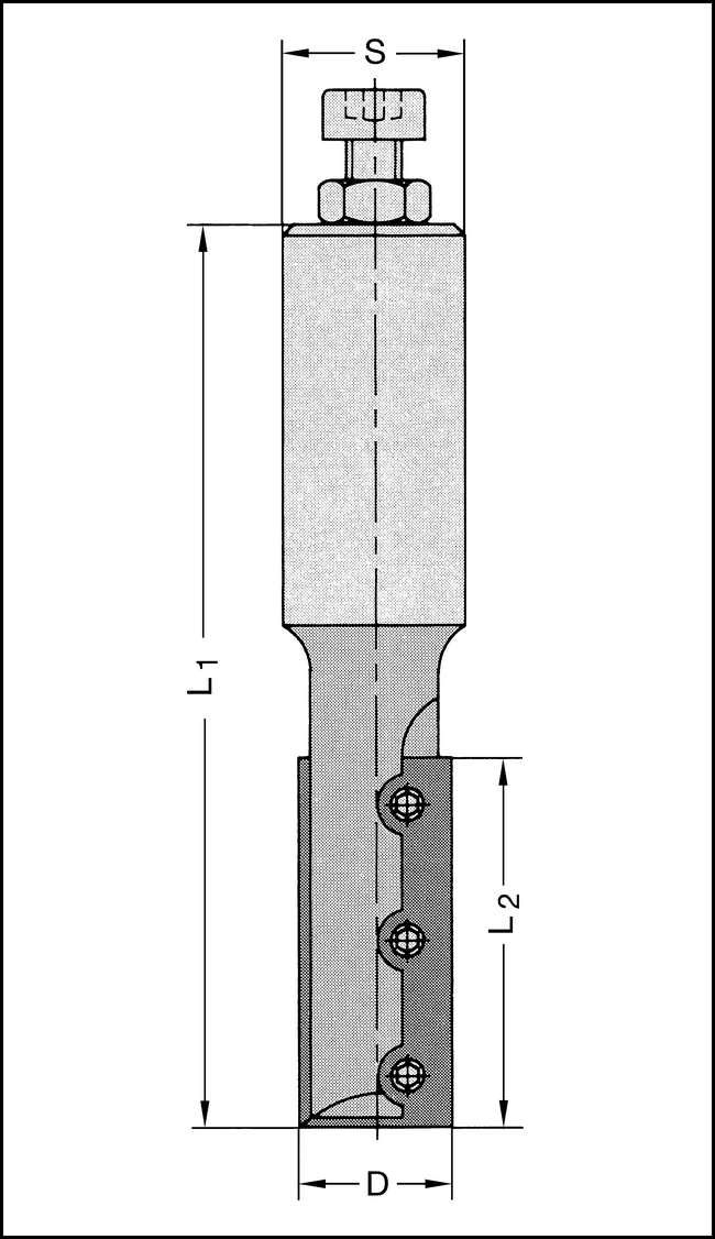 WP-Schaftfräser Z2 HW 30x50mm