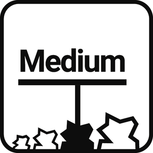 Medium