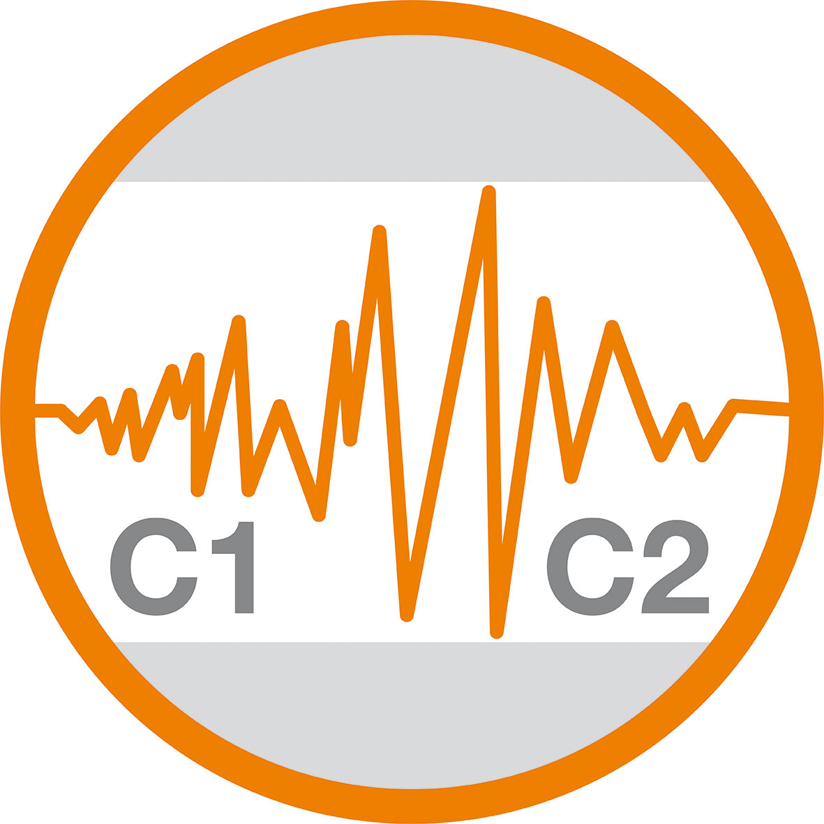 Seismik C2